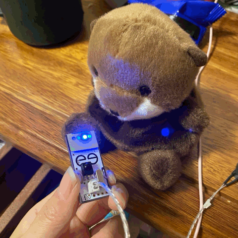 keep calm and love the otter!